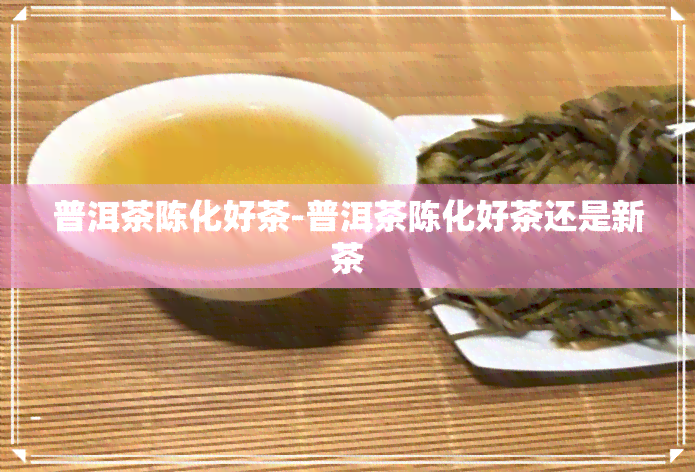 普洱茶陈化好茶-普洱茶陈化好茶还是新茶