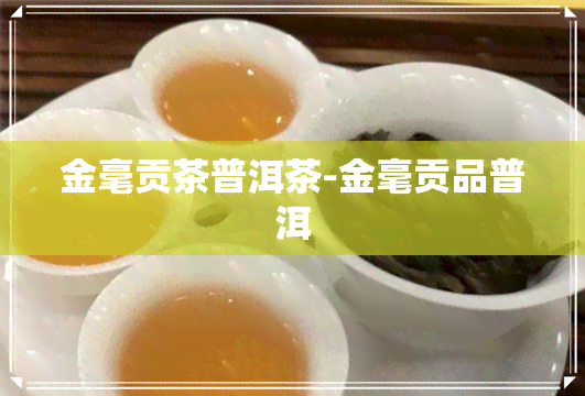 金毫贡茶普洱茶-金毫贡品普洱