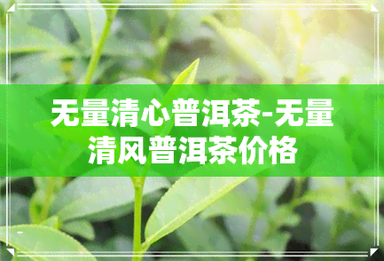 无量清心普洱茶-无量清风普洱茶价格