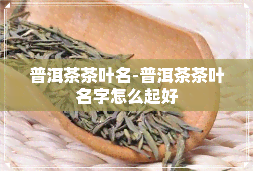 普洱茶茶叶名-普洱茶茶叶名字怎么起好