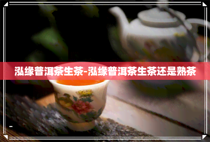 泓缘普洱茶生茶-泓缘普洱茶生茶还是熟茶