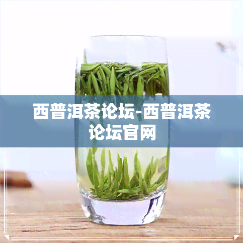 西普洱茶论坛-西普洱茶论坛官网