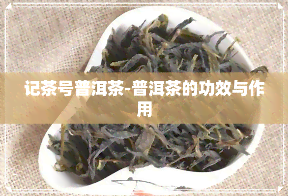 记茶号普洱茶-普洱茶的功效与作用