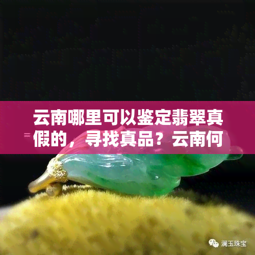 云南哪里可以鉴定翡翠真假的，寻找真品？云南何处可鉴定翡翠真伪？