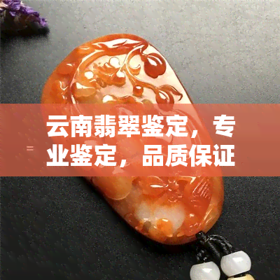 云南翡翠鉴定，专业鉴定，品质保证——云南翡翠鉴定