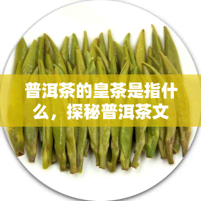 普洱茶的皇茶是指什么，探秘普洱茶文化：皇茶是什么？