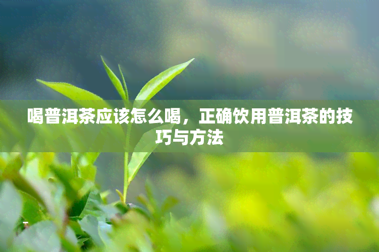 喝普洱茶应该怎么喝，正确饮用普洱茶的技巧与方法