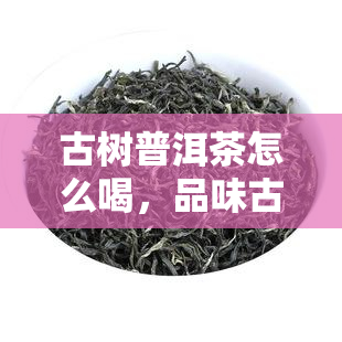 古树普洱茶怎么喝，品味古韵：如何正确冲泡和品尝古树普洱茶？