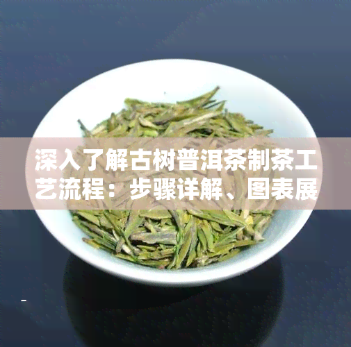 深入了解古树普洱茶制茶工艺流程：步骤详解、图表展示与视频教学