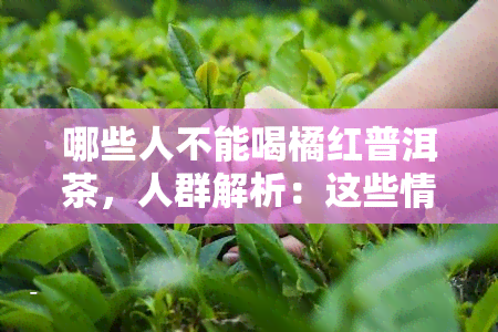 哪些人不能喝橘红普洱茶，人群解析：这些情况下不宜饮用橘红普洱茶