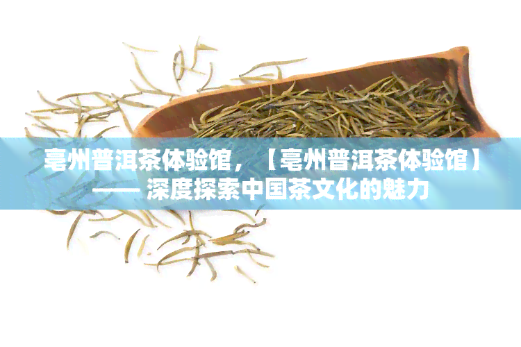 亳州普洱茶体验馆，【亳州普洱茶体验馆】—— 深度探索中国茶文化的魅力