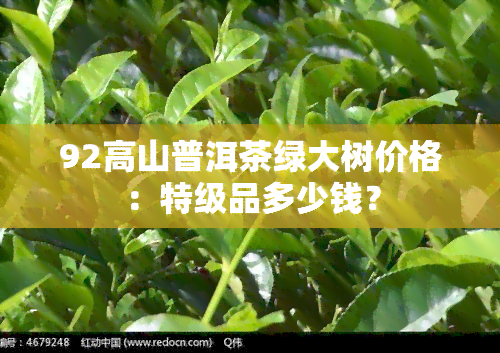 92高山普洱茶绿大树价格：特级品多少钱？