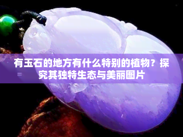 有玉石的地方有什么特别的植物？探究其独特生态与美丽图片