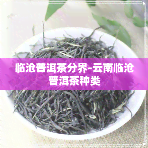 临沧普洱茶分界-云南临沧普洱茶种类