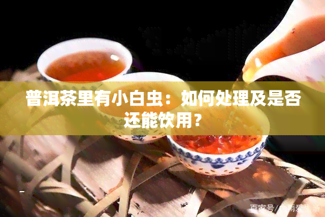 普洱茶里有小白虫：如何处理及是否还能饮用？