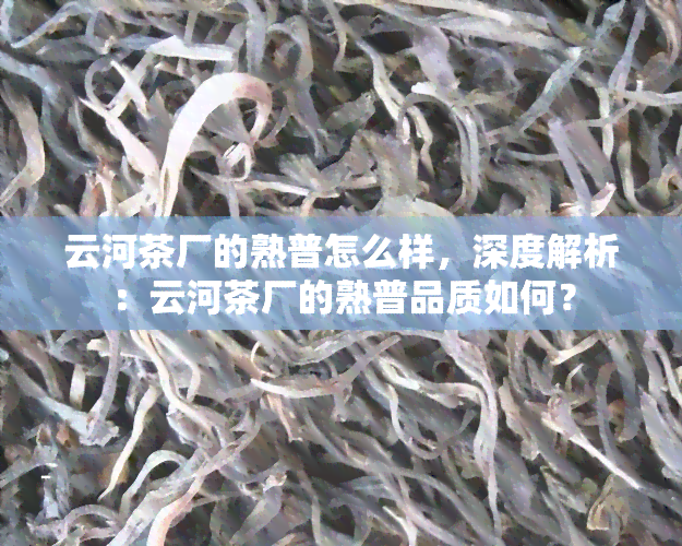 云河茶厂的熟普怎么样，深度解析：云河茶厂的熟普品质如何？