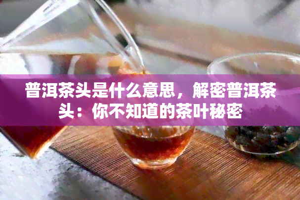 普洱茶头是什么意思，解密普洱茶头：你不知道的茶叶秘密