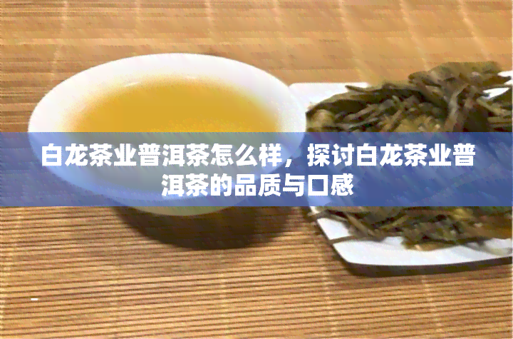 白龙茶业普洱茶怎么样，探讨白龙茶业普洱茶的品质与口感