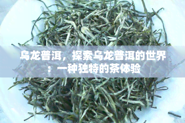 乌龙普洱，探索乌龙普洱的世界：一种独特的茶体验