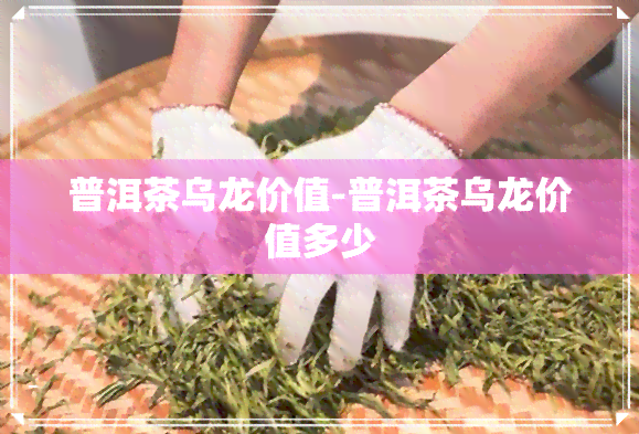 普洱茶乌龙价值-普洱茶乌龙价值多少