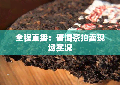 全程直播：普洱茶拍卖现场实况