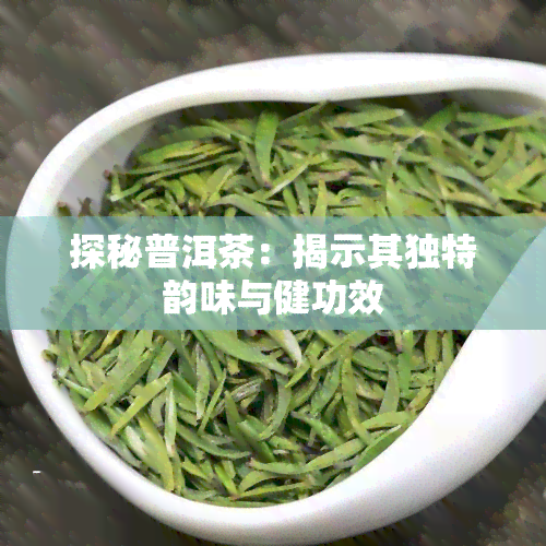 探秘普洱茶：揭示其独特韵味与健功效