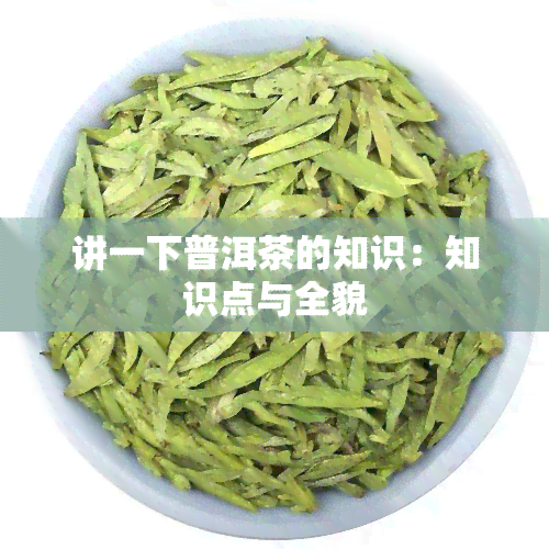 讲一下普洱茶的知识：知识点与全貌