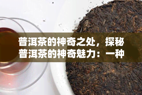 普洱茶的神奇之处，探秘普洱茶的神奇魅力：一种独特的饮品文化