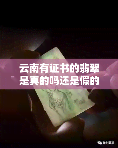 云南有证书的翡翠是真的吗还是假的，揭秘云南证书翡翠：真的还是假的？