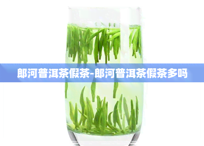 郎河普洱茶假茶-郎河普洱茶假茶多吗