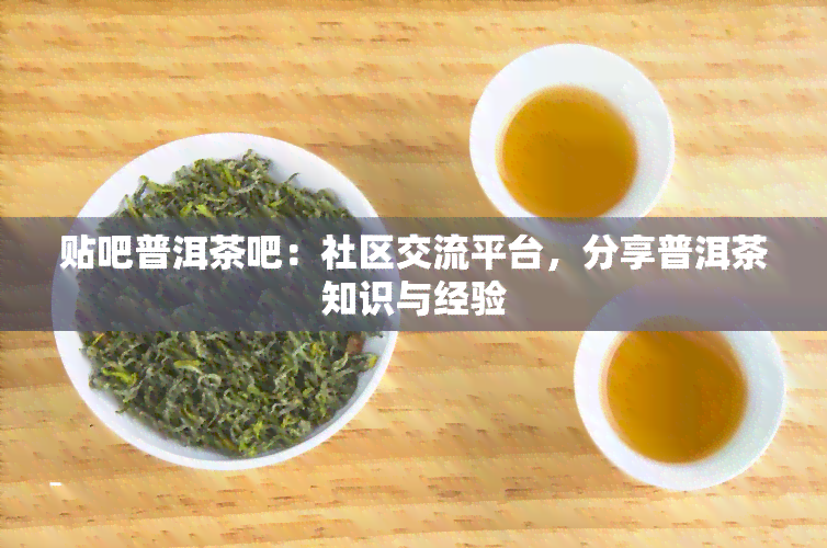 贴吧普洱茶吧：社区交流平台，分享普洱茶知识与经验