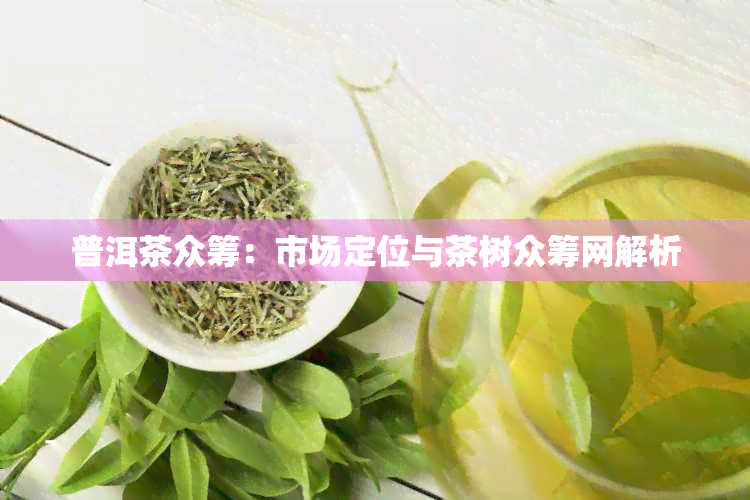 普洱茶众筹：市场定位与茶树众筹网解析