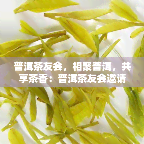 普洱茶友会，相聚普洱，共享茶香：普洱茶友会邀请您来参加！