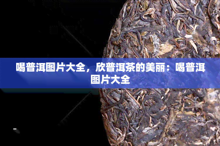 喝普洱图片大全，欣普洱茶的美丽：喝普洱图片大全