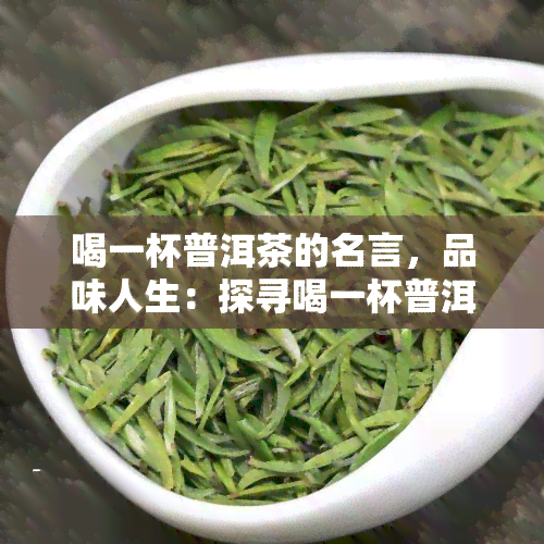 喝一杯普洱茶的名言，品味人生：探寻喝一杯普洱茶的智慧与哲理