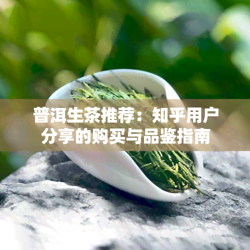 普洱生茶推荐：知乎用户分享的购买与品鉴指南