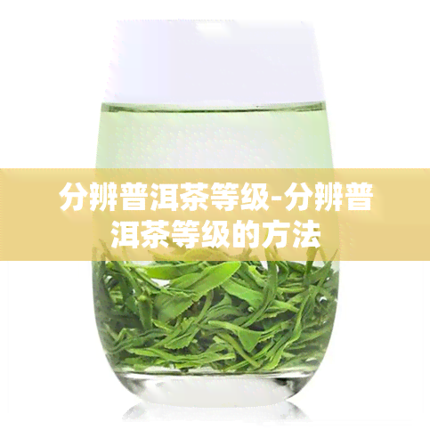 分辨普洱茶等级-分辨普洱茶等级的方法