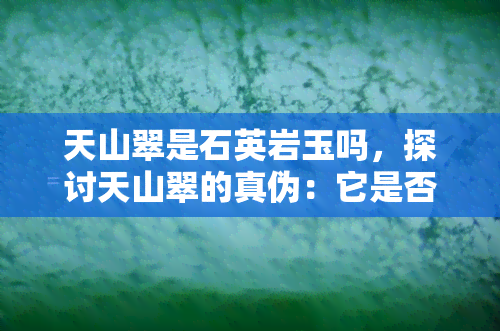 天山翠是石英岩玉吗，探讨天山翠的真伪：它是否真的是石英岩玉？