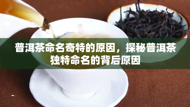 普洱茶命名奇特的原因，探秘普洱茶独特命名的背后原因