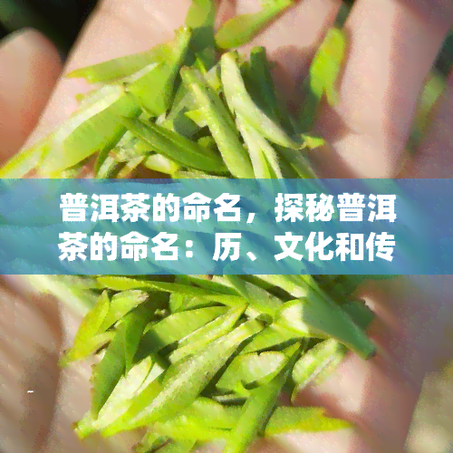 普洱茶的命名，探秘普洱茶的命名：历、文化和传统