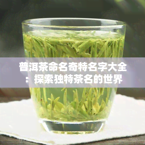 普洱茶命名奇特名字大全：探索独特茶名的世界