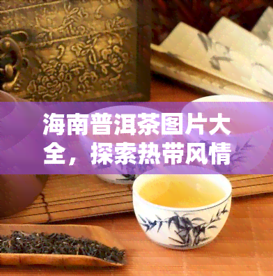 海南普洱茶图片大全，探索热带风情：海南普洱茶图片大全