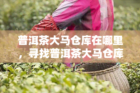 普洱茶大马仓库在哪里，寻找普洱茶大马仓库：位置解析与探索