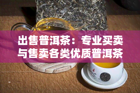 出售普洱茶：专业买卖与售卖各类优质普洱茶！