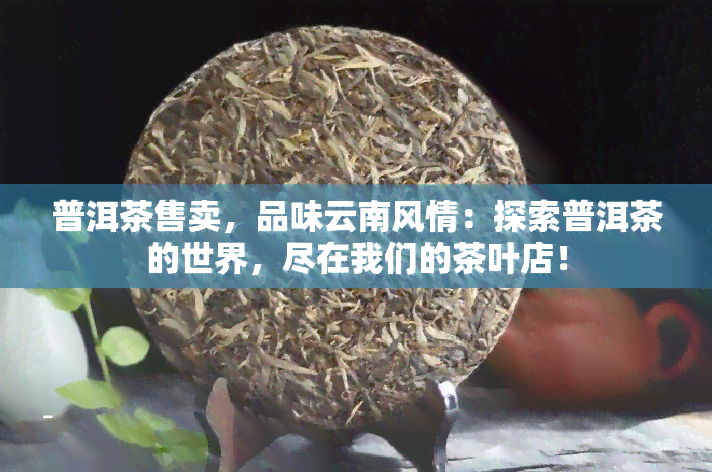 普洱茶售卖，品味云南风情：探索普洱茶的世界，尽在我们的茶叶店！