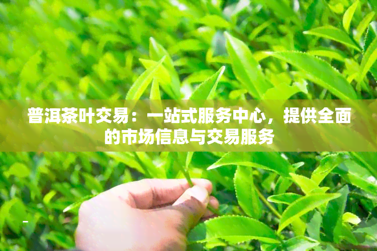 普洱茶叶交易：一站式服务中心，提供全面的市场信息与交易服务