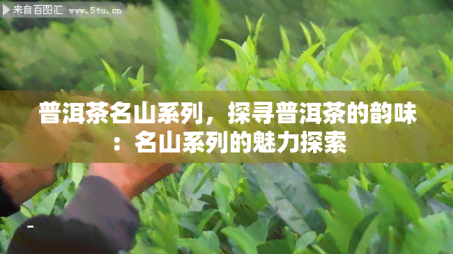 普洱茶名山系列，探寻普洱茶的韵味：名山系列的魅力探索