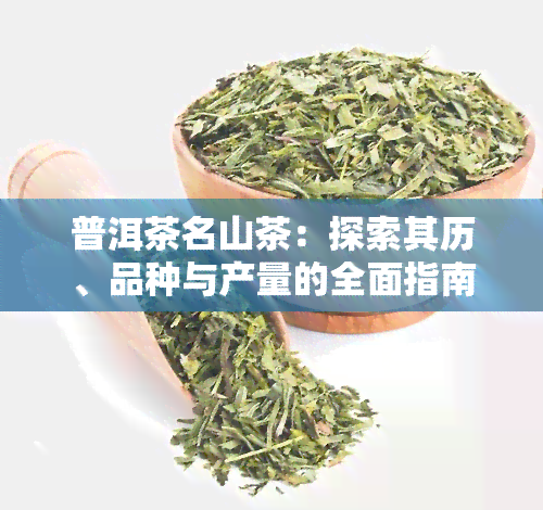 普洱茶名山茶：探索其历、品种与产量的全面指南