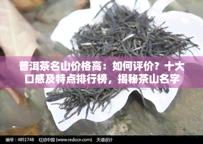 普洱茶名山价格高：如何评价？十大口感及特点排行榜，揭秘茶山名字