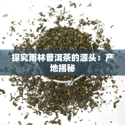 探究雨林普洱茶的源头：产地揭秘